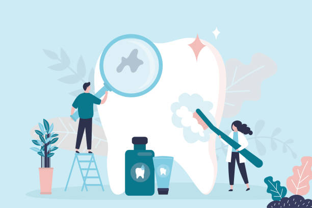  Penngrove, CA Holistic Dental Services Pros